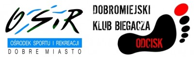 12. Dobromiejskie Biegi Niepodległości - logo