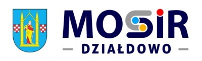 Urodzinowy Festiwal Biegowy Działdowo 2025 - logo